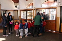 Visita de Niños de Pre-Kínder  y Kínder Colegio Pinares